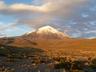 Ampato image
